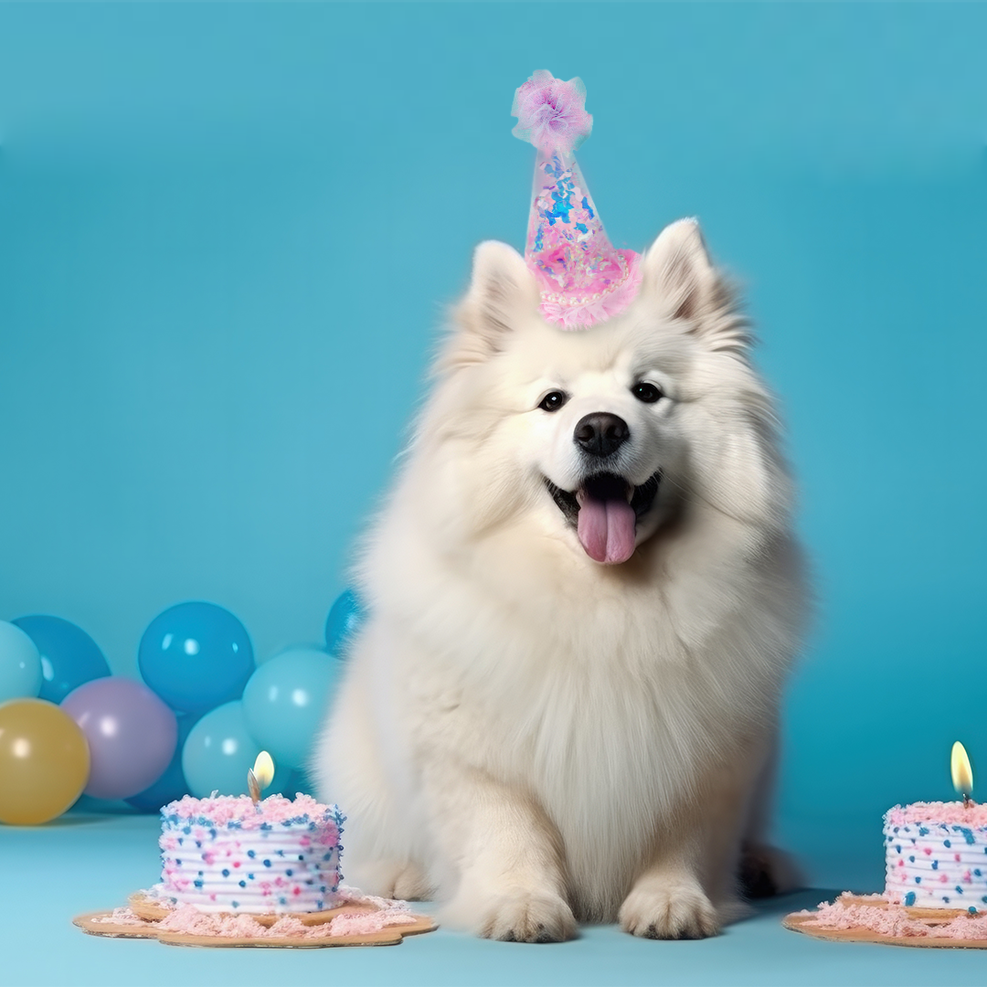Pink Transparent Party Paper Hat w/ Multicolor Pom Pom - 1PC