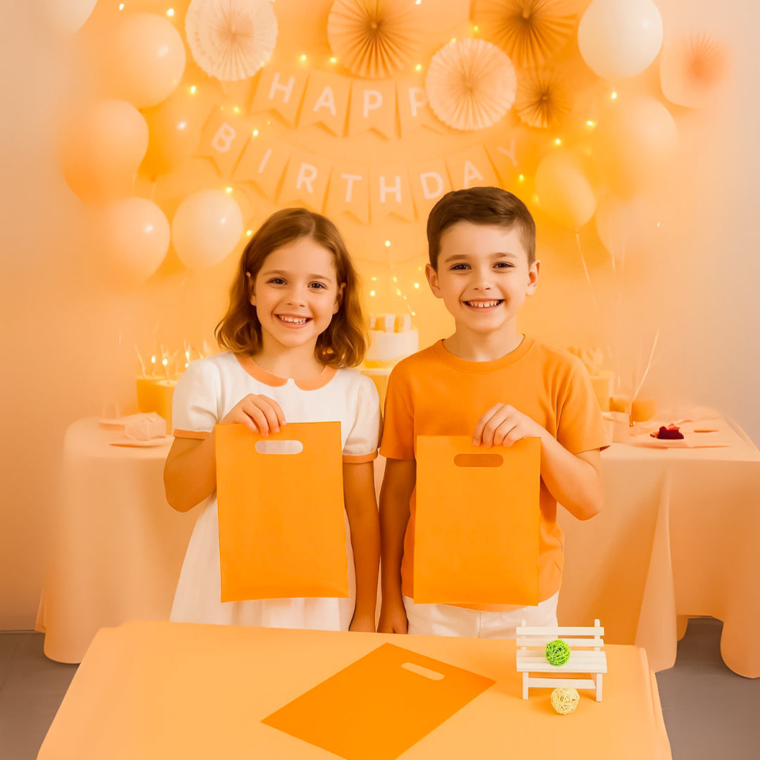 Loot Bags Pastel Orange Color - 10PC