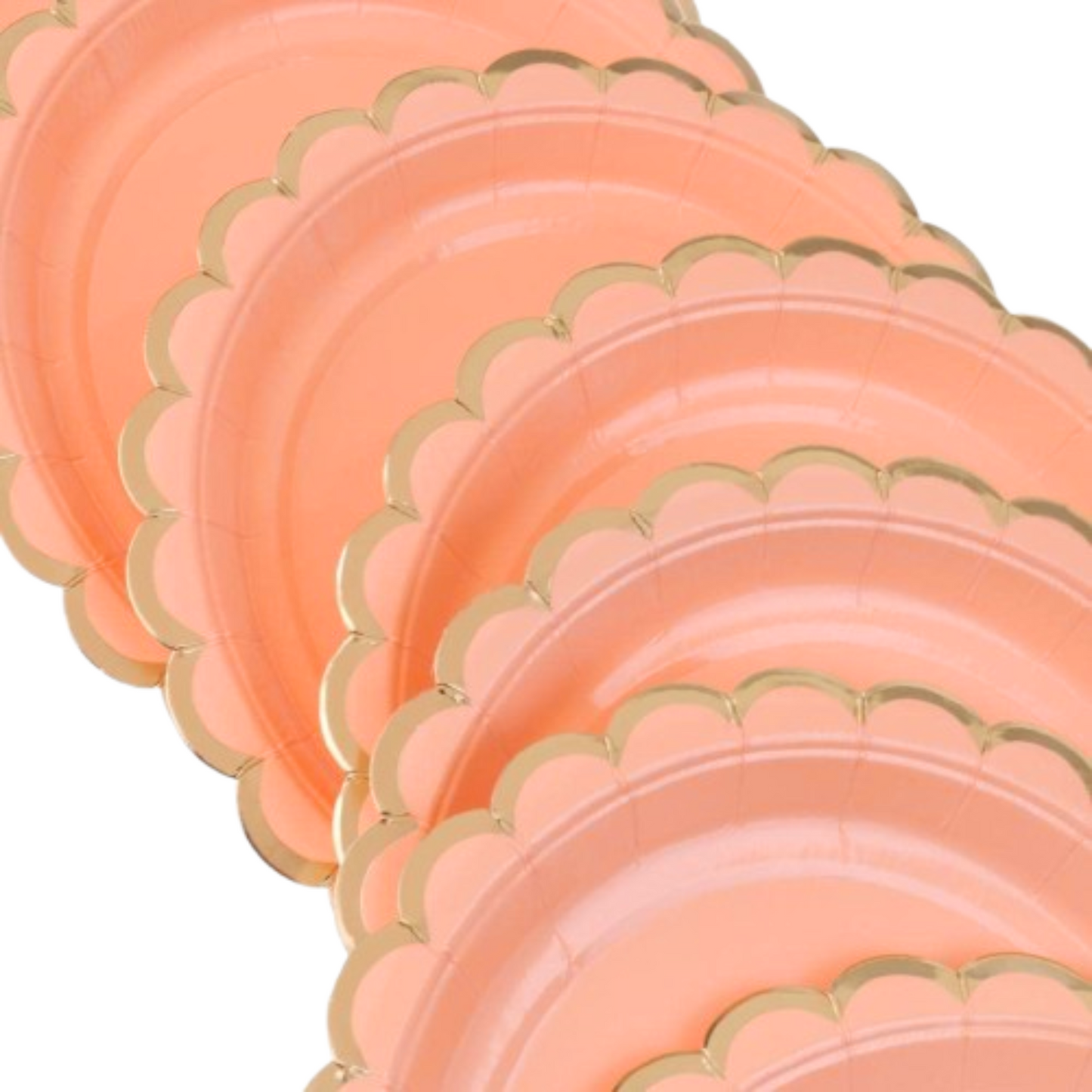 Blush Pink Party Paper Plate w/ Golden Rim - 9 inches - 10PC