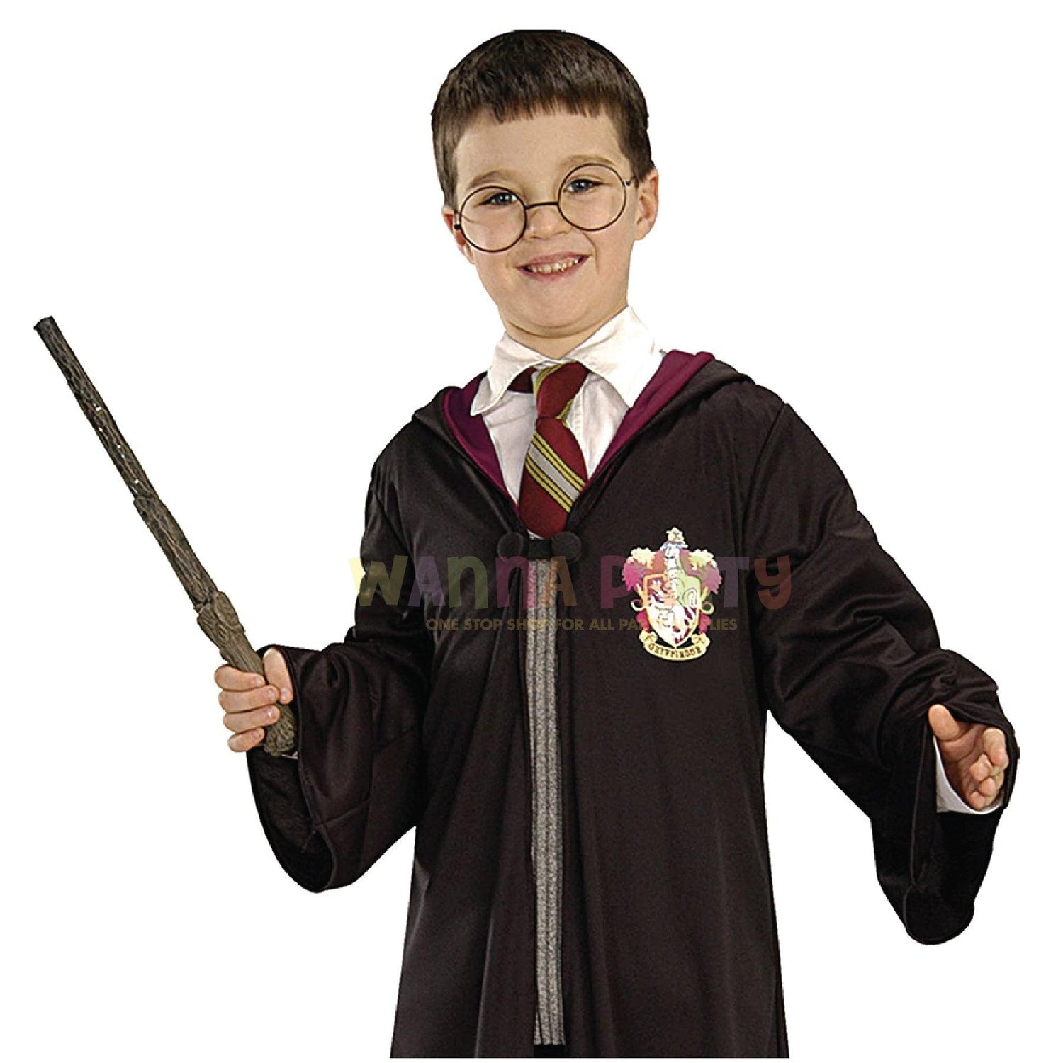 Harry Potter Birthday Party