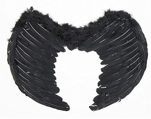 BLACK FEATHER WINGS