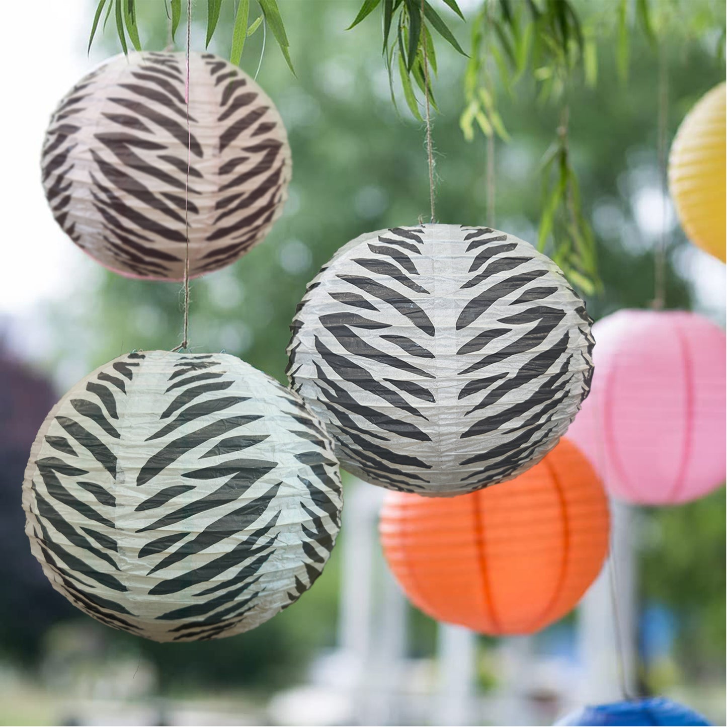 Zebra Print Paper Lantern for Hanging Decor - 3PC