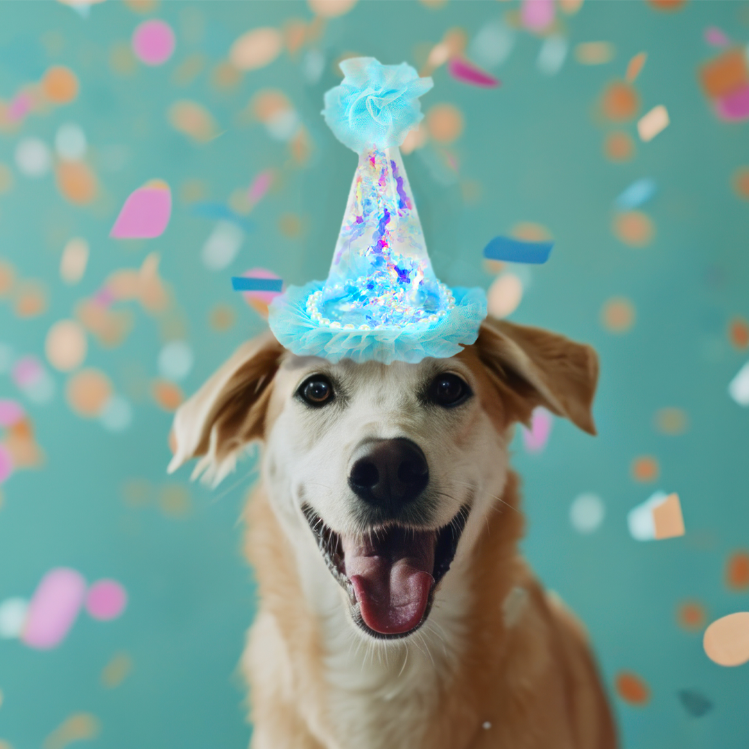 Small Transparent Blue Hat Net w/Confetti - 1PC