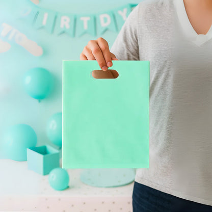 Loot Bags Pastel Blue Color - 10PC