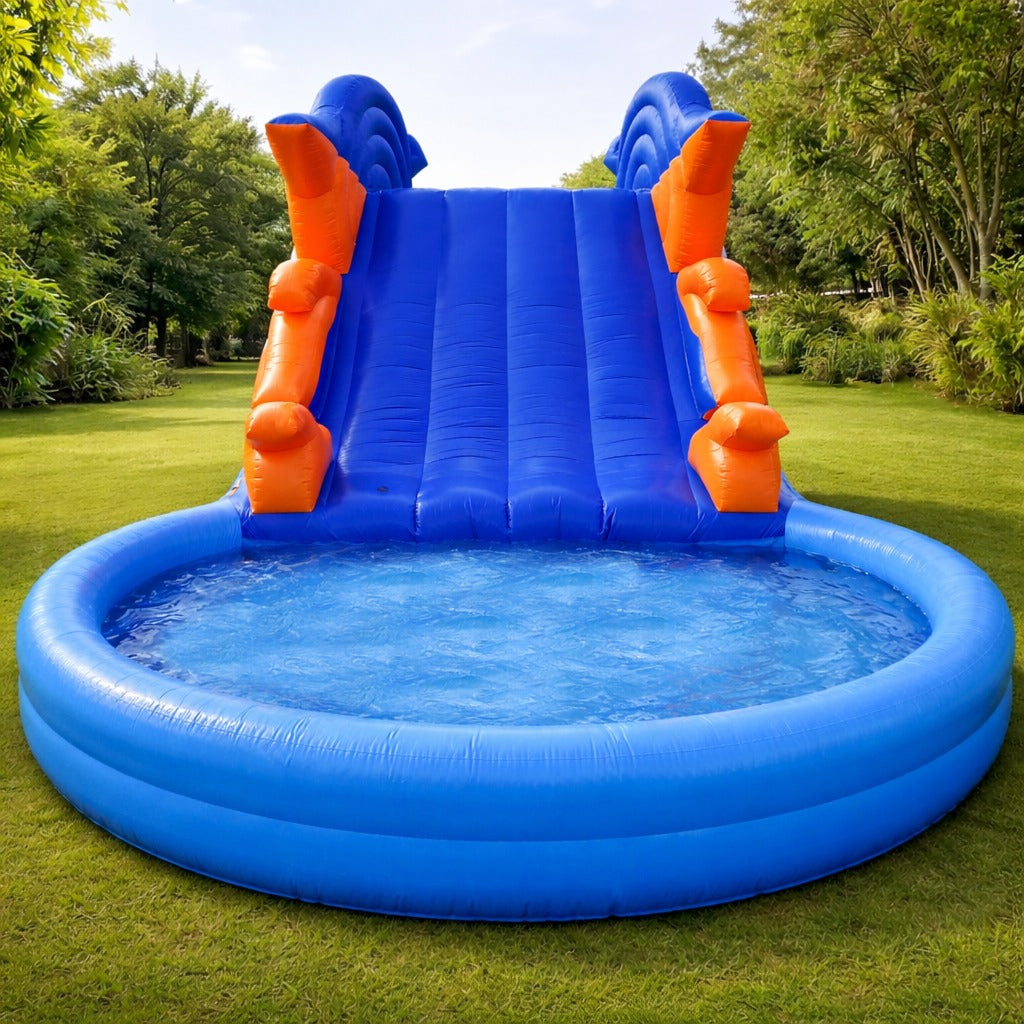 Dolphin Sliding Pool Bouncy for Rent