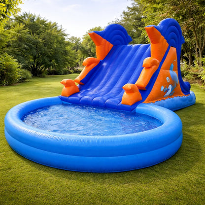 Dolphin Sliding Pool Bouncy for Rent