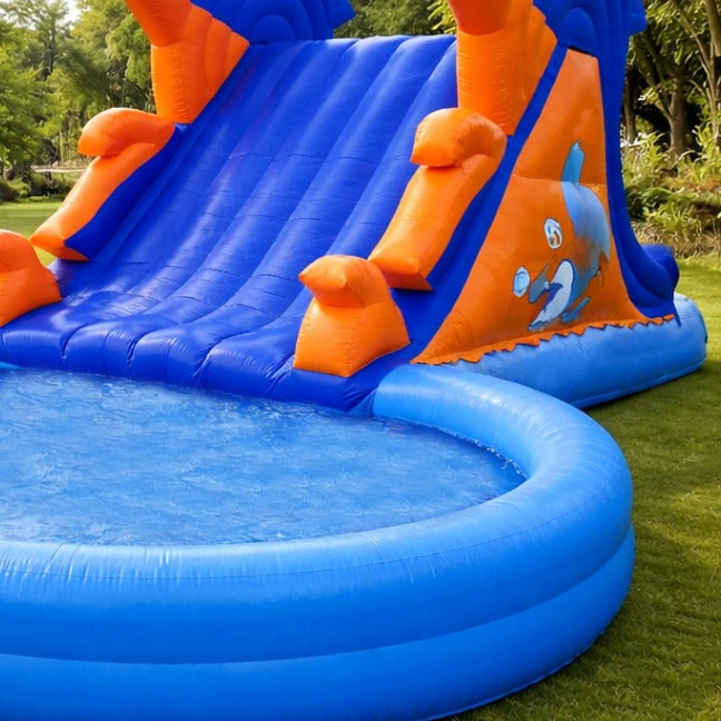 Dolphin Sliding Pool Bouncy for Rent